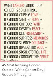 It cannot shut out memories. Courage And Cancer Quotes What Cancer Cannot Do Cancer Is So Limited It Cannot Cripple Love Dogtrainingobedienceschool Com