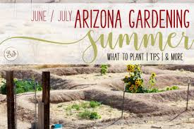 What is zone 9 for plants. Arizona Gardening Summers June July Zone 9
