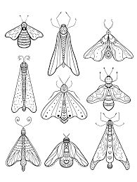 Top 17 free printable bug coloring pages online. Insect Coloring Pages Coloring Rocks