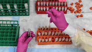 Intent To Get A Covid 19 Vaccine Rises To 60 As Confidence In Research And Development Process Increases Pew Research Center