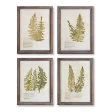 Maybe you would like to learn more about one of these? Fern Leaf Framed Art Prints Set Of 4 Kirklands