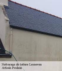Entreprise Nettoyage De Toiture A Lesneven Tel 02 52 56 38 77