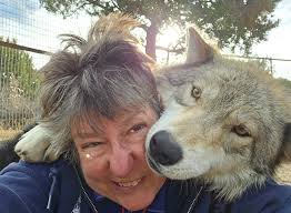 Volunteering at wolfwood refuge animal care