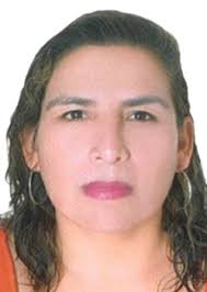 Antecedentes de Otorongos Elecciones 2022