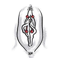 Princess Diana Piercing Piercing Studio Wien