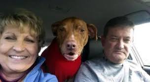 Terry W. Wolaver Obituary January 15, 2024