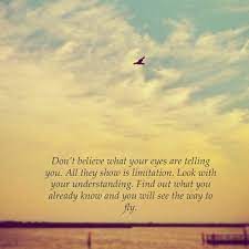 If you love somebody set them the statement immediately above was attributed to richard bach who wrote the enormously popular inspirationally work jonathan livingston seagull. Jonathan Seagull Quotes Quotesgram