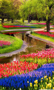 If you want to know other wallpaper, you can see our gallery on sidebar. Spring Mobile Wallpapers Wallpaper Cave