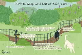 I know it's nighttime, you're tired and you don't want to be training a cat to stay off at 2 am. Ways To Keep Cats Out Of Your Yard Or Garden