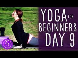 Yoga For Beginners 30 Day Challenge Youtube Yoga For Beginners 20 Minute Yoga Yoga Videos For Beginners