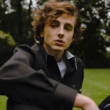 Timothée chalamet began his acting career in short films, before appearing in the television drama series homeland. Call Me By Your Name S Timothee Chalamet Is Having A Very Big Year Vogue
