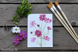 Flower drawings of cosmos flowers by katrina of blushed design. How To Paint Cosmos Flowers Pamela Groppe Art