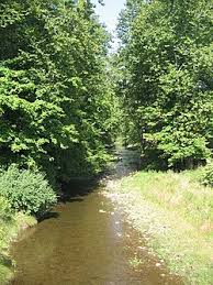 plunketts creek loyalsock creek tributary wikipedia