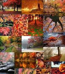 Herfst Herbstbilder Bilder Herbst Bilder