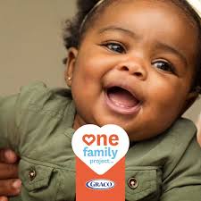 Graco One Family Project