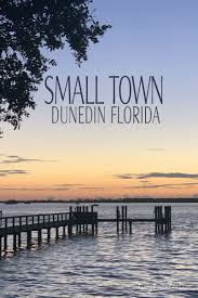 Living in a Small Town {Dunedin Florida} | Lizzy Loves Food