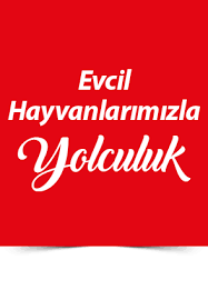 Evcil Hayvan Pamukkale Turizm