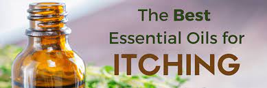 Maybe you would like to learn more about one of these? 7 Best Essential Oils For Itching Itchy Feet Skin Jock Itch More