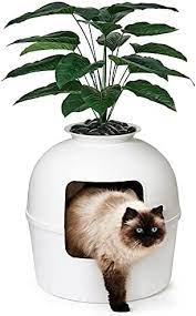 Shop for hidden kitty litter boxes online at target. Secret Litter Box By Bundle Bliss Premium Hidden Litter Box Enclosure Includes Faux Plant Carbon Filter And Polished River Stones Perfect For Large Cats Buy Online At Best Price In