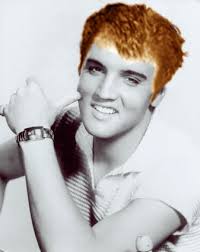 Have A Gingery July 4th! |