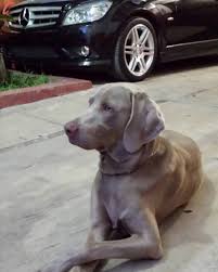 Chris Coronel (@kikisonline) • Instagram photos and videos