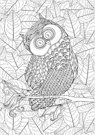 Owls have been found in the fossil record up to 58 million years ago. Owl And Leaves In Background Owls Adult Coloring Pages
