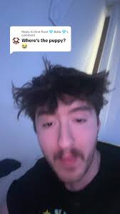 My Dogs Name Is Rosie