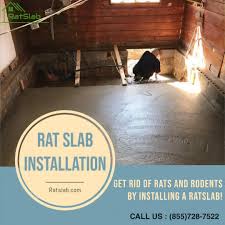 We hired an exterminator to get rid of them & clean the area. Rat Slab Crawl Space By Ratslab On Deviantart