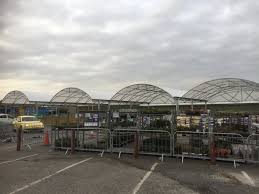 Hampsons Plantworld Hampsonsplant Twitter