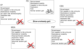 Tandem gait patients with ataxia have difficulty narrowing the station in order to walk heel to toe. Gait And Postural Disorders In Parkinsonism A Clinical Approach Springerlink