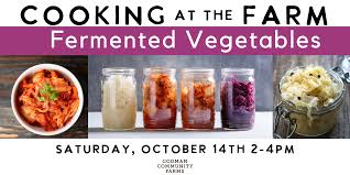Image result for Home Cooking Fermentation
