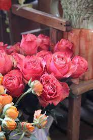 Inside Achillea Flower Shop Quirky Flower Adventure The Smell Of Roses The Smell Of Roses