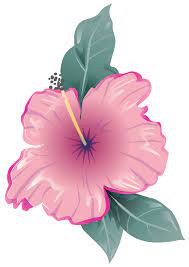Free Flower 1190738 Png With Transparent Background