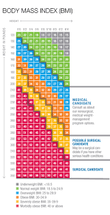 true to life obesity chart for women 2019