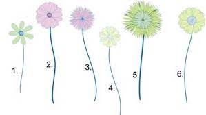 Inside the catalog you can find appliques, patches, fonts, flowers, cartoons, baby embroidery designs and more. Mod Flower Collection Free Embroidery Designs Love To Sew