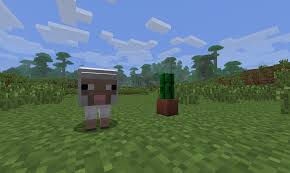 You pretty much just plant a cactus block and wait for it to grow. Til You Can Put A Cactus In A Plant Pot Minecraft