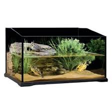 Miss Rock Turtle Terrarium Turtle Aquarium Pet Turtle