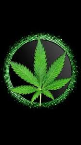 Customize and personalise your desktop, mobile phone and tablet with these free wallpapers! Weed Wallpaper Wallpaper Sun