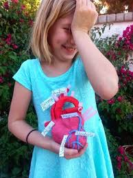 Let S Take A Trip Through The Cardiovascular System Human Body Systems Circulatory System Projects Heart For Kids