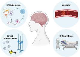 The disease can be associated with multiple antibodies, which include with their antigen Neurological Update Covid 19 Springerlink