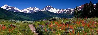 Kiwanis club of parker 10841 crossroads shopping center suite 1, parker co meeting place and time: Parker And Elizabeth Funeral Home Crematory Llc Parker Co Funeral Home And Cremation