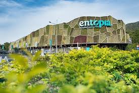 Am attraktivsten für die touristen ist der nördliche teil der insel, wo sich die beliebtesten restaurants. Die 10 Besten Penang Sehenswurdigkeiten Aktivitaten Touren Und Ausfluge Viator