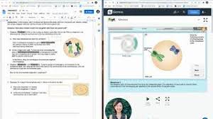 Cell division gizmo answer key activity a rating:. Meiosis Gizmo Instructions Youtube