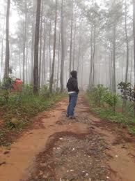 Check spelling or type a new query. Berburu Sunrise Di Bukit Pentulu Indah Bambang Irwanto Ripto