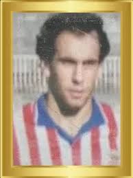 José Tomás Vallejo Domínguez