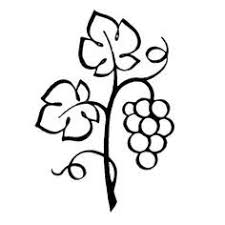 Black And White Vines Clipart Grapes On The Vine Clip Art Google Search Vine Drawing Grape Drawing Leaves Doodle
