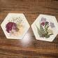 DIY Dried Flower Shadow Box / hexagon coasters - Community Creations, 199 Sokokis Trail Event Image