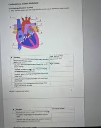 Image result for Cardiovascular Worksheets