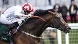 Image result for Global flat turf jockeys