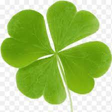 saint patricks day trefle a quatre feuilles chance amulette blanc charme de bonne vert png pngegg coloriage iron man zoom